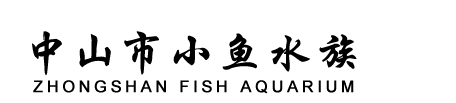 网站Logo